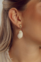 Load image into Gallery viewer, -Earring Nautilus-
